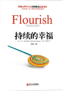 《持续的幸福》封面